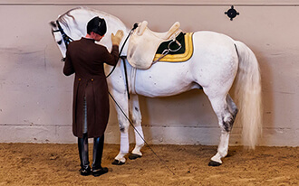 מופע הסוסים המרהיב של בית הספר הספרדי לרכיבה - Spanish Riding School Show
